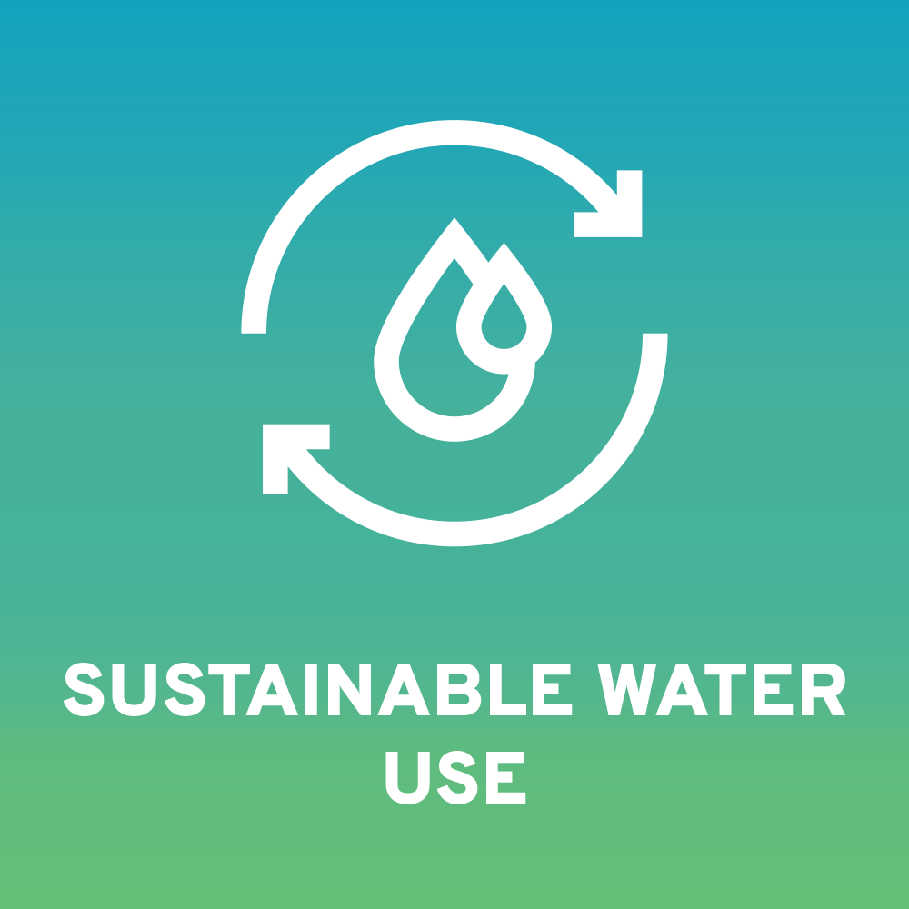 Sustainable water use